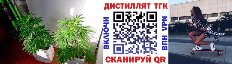 где найти   Сегежа  ТГК вейп с тгк 