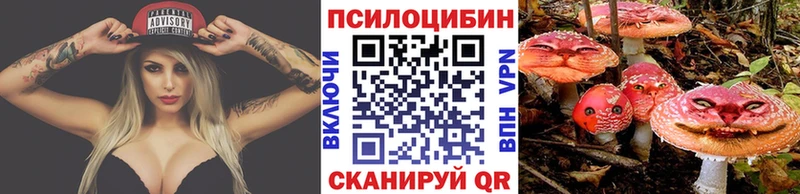 купить   kraken tor  Псилоцибиновые грибы мухоморы  Сегежа 