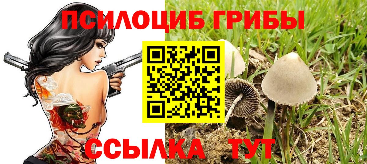 Сегежа  Галлюциногенные грибы мицелий  Вход с VPN  Галлюциногенные грибы Magic Shrooms 